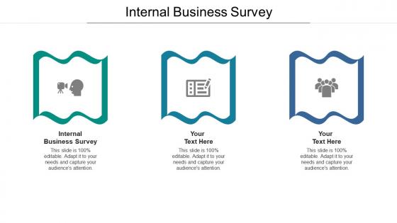 Internal business survey ppt powerpoint presentation show visual aids cpb