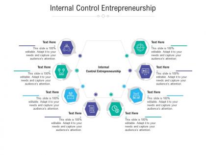 Internal control entrepreneurship ppt powerpoint presentation infographic template infographics cpb