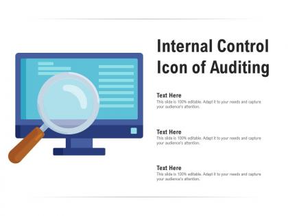 Internal control icon of auditing