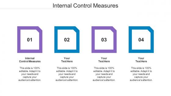 Internal Control Measures Ppt Powerpoint Presentation Gallery Microsoft Cpb