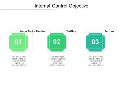 Internal control objective ppt powerpoint presentation slides portrait cpb