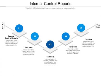 Internal control reports ppt powerpoint presentation gallery influencers cpb