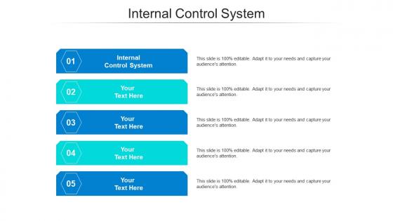 Internal control system ppt powerpoint presentation gallery portrait cpb