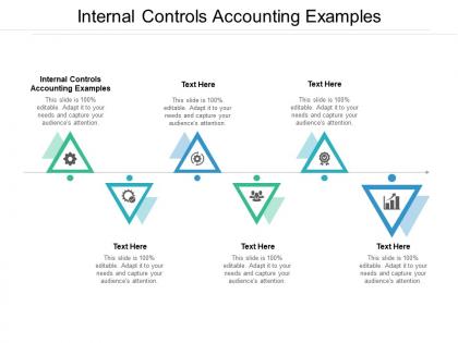 Internal controls accounting examples ppt powerpoint presentation structure cpb