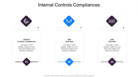 Internal Controls Compliances In Powerpoint And Google Slides Cpb