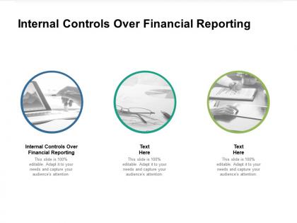 Internal controls over financial reporting ppt powerpoint presentation show graphics cpb
