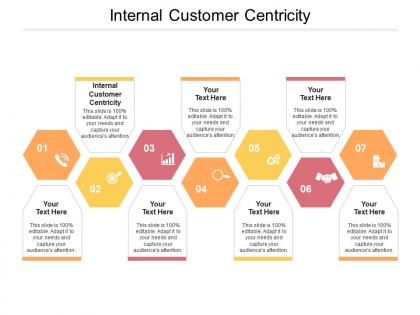 Internal customer centricity ppt powerpoint presentation icon examples cpb