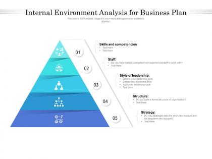 Internal environment analysis for business plan