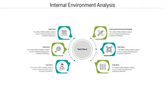 Internal environment analysis ppt powerpoint presentation infographics smartart cpb