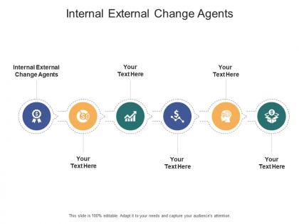 Internal external change agents ppt powerpoint presentation file elements cpb