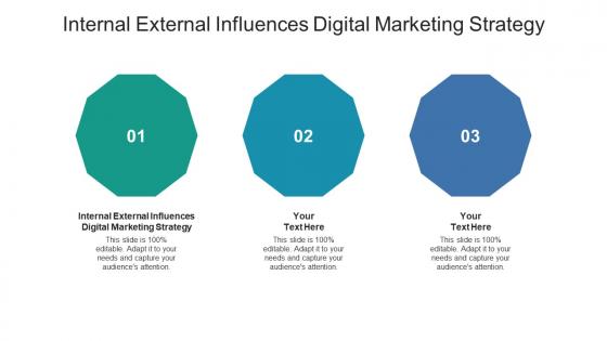 Internal external influences digital marketing strategy ppt powerpoint presentation cpb