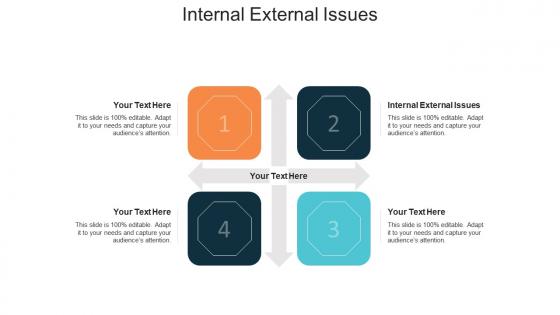 Internal external issues ppt powerpoint presentation infographic template shapes cpb