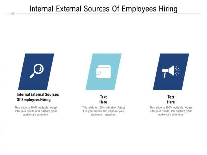 Internal external sources of employees hiring ppt powerpoint presentation design ideas cpb