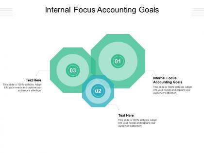 Internal focus accounting goals ppt powerpoint presentation professional background designs cpb