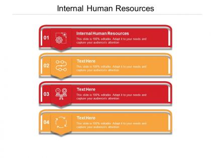 Internal human resources ppt powerpoint presentation inspiration elements cpb