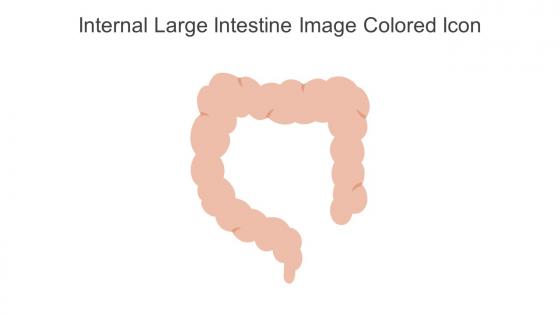 Internal Large Intestine Image Colored Icon In Powerpoint Pptx Png And Editable Eps Format