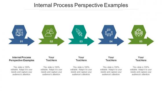 Internal process perspective examples ppt powerpoint presentation infographics example topics cpb