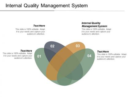 Internal quality management system ppt powerpoint presentation infographic template graphics cpb