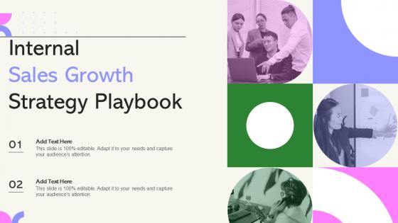 Internal Sales Growth Strategy Playbook Ppt Show Graphics Download