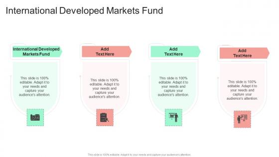 International Developed Markets Fund In Powerpoint And Google Slides Cpb