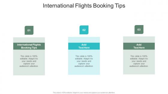 International Flights Booking Tips In Powerpoint And Google Slides Cpb