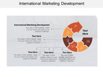 International marketing development ppt powerpoint presentation icon design ideas cpb