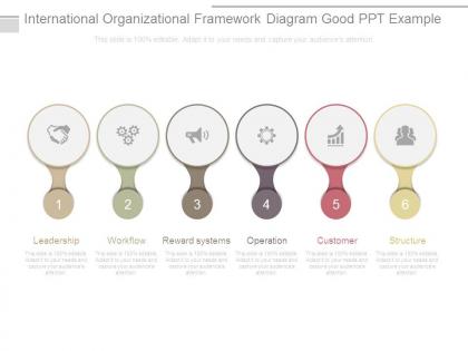 International organizational framework diagram good ppt example