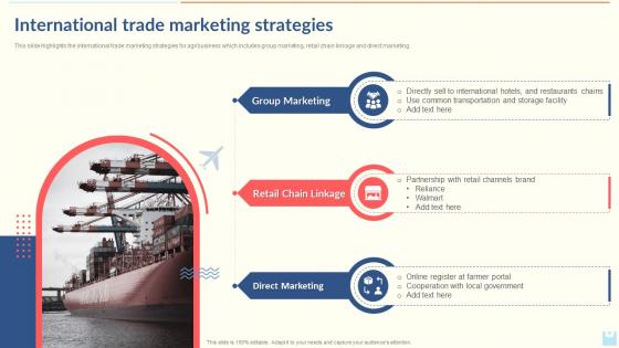 International Trade Marketing Strategies Export Company Profile