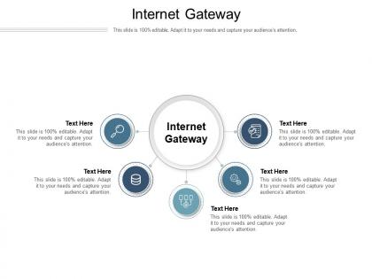 Internet gateway ppt powerpoint presentation infographics designs download cpb