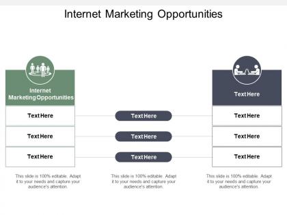 Internet marketing opportunities ppt powerpoint presentation pictures background cpb