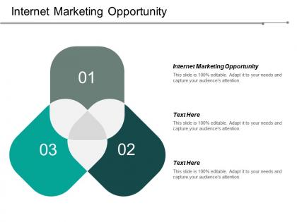 Internet marketing opportunity ppt powerpoint presentation portfolio designs download cpb