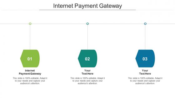 Internet Payment Gateway Ppt Powerpoint Presentation Slides Ideas Cpb