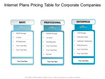 Internet plans pricing table for corporate companies