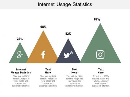 Internet usage statistics ppt powerpoint presentation icon cpb
