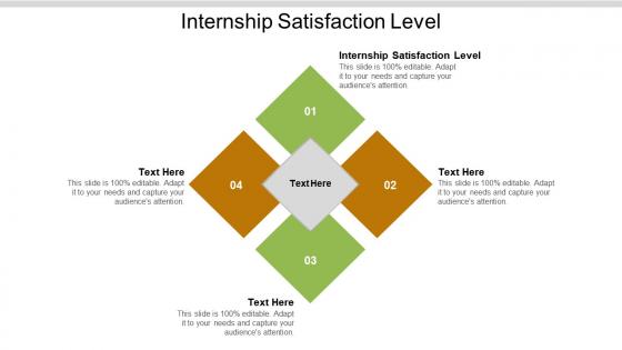 Internship satisfaction level ppt powerpoint presentation infographic template show cpb