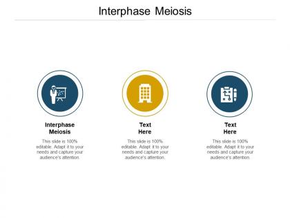 Interphase meiosis ppt powerpoint presentation professional microsoft cpb