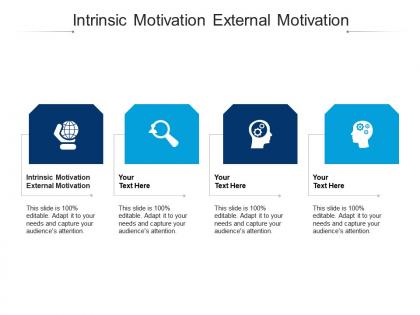 Intrinsic motivation external motivation ppt powerpoint presentation layouts icons cpb