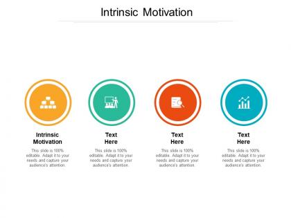 Intrinsic motivation ppt powerpoint presentation pictures designs cpb