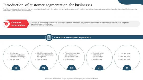 Introduction Of Customer Segmentation Developing Marketing And Promotional MKT SS V