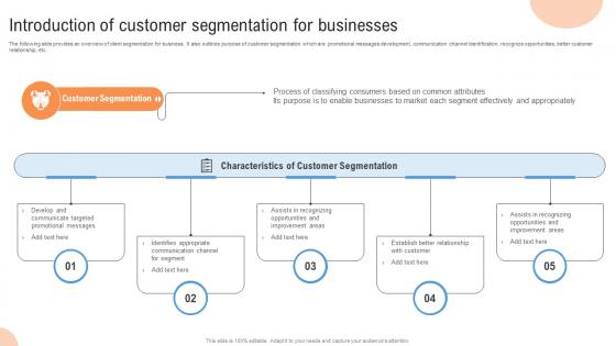 Introduction Of Customer Segmentation For Businesses MKT SS V