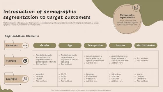 Introduction Of Demographic Segmentation Strategic Guide For Market MKT SS V
