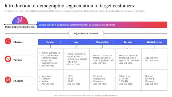 Introduction Of Demographic Segmentation Target Audience Analysis Guide To Develop MKT SS V