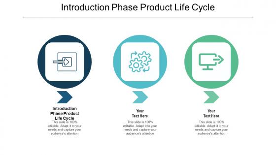 Introduction phase product life cycle ppt powerpoint presentation gallery styles cpb