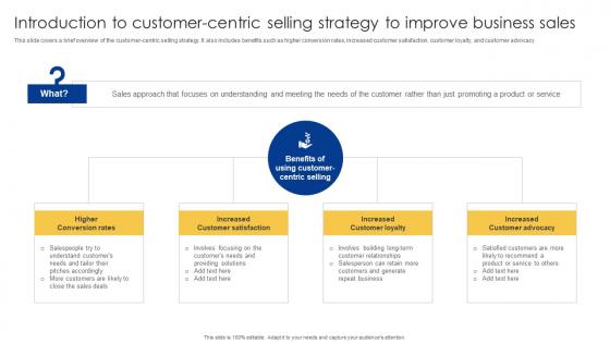 Introduction To Customer Centric Selling Strategy Powerful Sales Tactics For Meeting MKT SS V