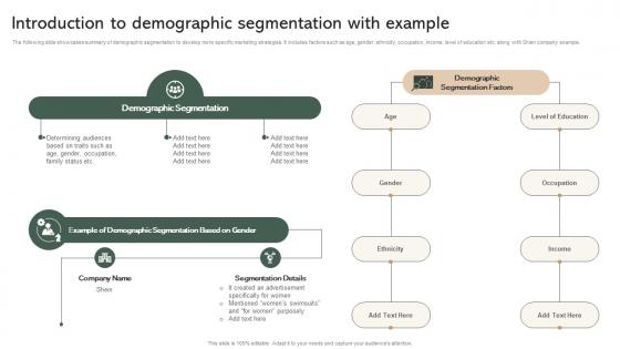 Introduction To Demographic Segmentation With Example Effective Micromarketing Guide