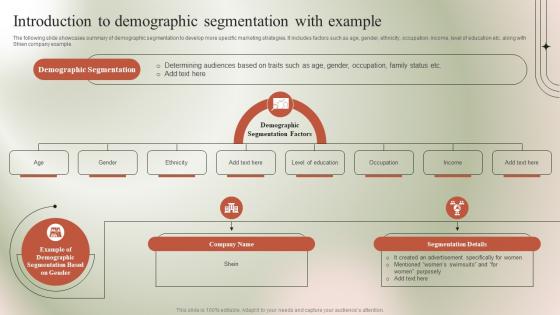 Introduction To Demographic Segmentation With Micromarketing Guide To Target MKT SS