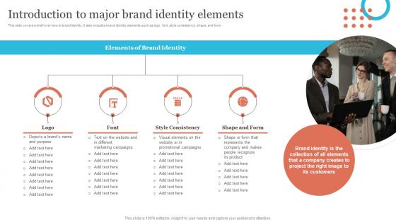 Introduction To Major Brand Identity Elements Strategic Brand Leadership Plan Branding SS V
