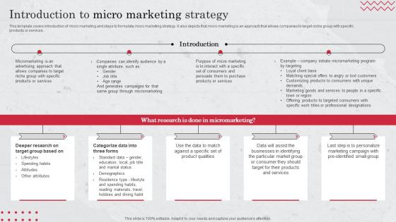 Introduction To Micro Marketing Strategy Target Market Definition Examples Strategies And Analysis