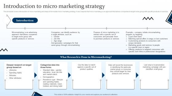 Introduction To Micro Marketing Strategy Targeting Strategies And The Marketing Mix