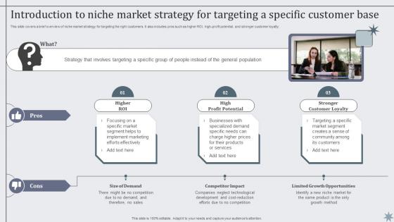 Introduction To Niche Market Strategy For Targeting Effective Sales Techniques To Boost Business MKT SS V